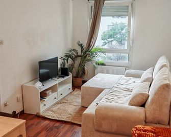 Charmant appartement au centre - Strasbourg - Salon