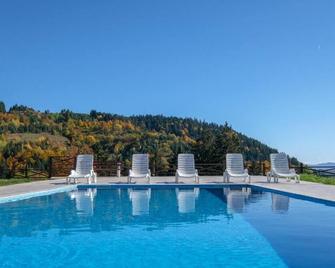 Villa Sarajevo - Olovo - Piscina