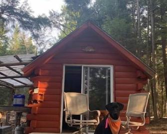 Off Grid Sunset Woods Cabin - Orland - Patio