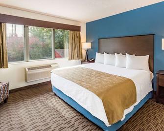 AmericInn by Wyndham Hotel and Suites Long Lake - Long Lake - Bedroom