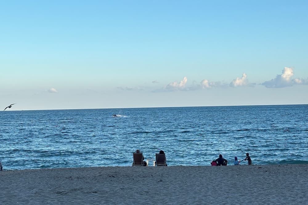 Tortuga festival special 1Bedroom Suite,CityView Ft Lauderdale&Two QueenBeds - فورت لاودردال - شاطئ