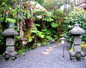 Lotus Garden Cottages - Volcano - Outdoor view