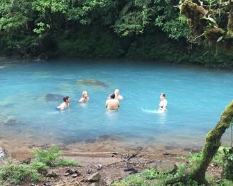 Cabinas Piuri - Bijagua