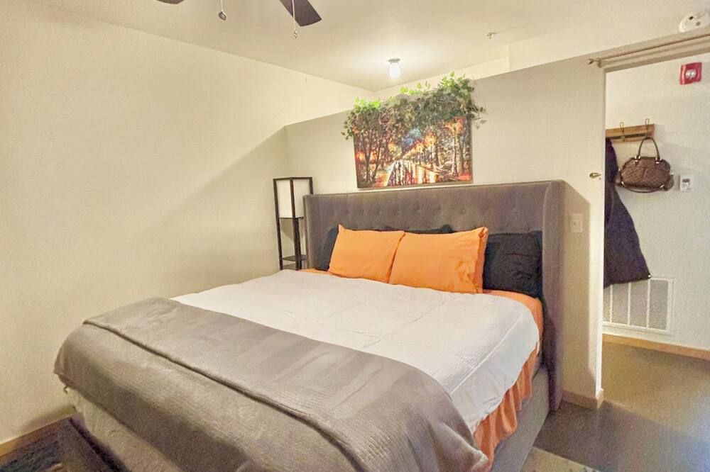 Private Charming Midtown 1-bedroom apartment in amazing Detroit with WiFi, AC - דטרויט - חדר שינה