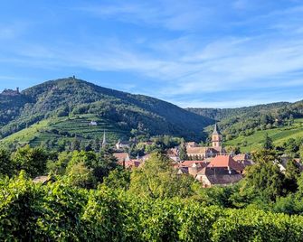 Chambres D'Hôtes Les Ecrins - Orbey - Extérieur