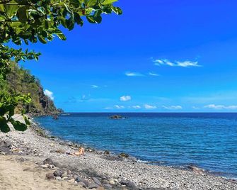 Pinard's Mountain Resort- Cottage 8 - Pointe Michel - Plaża