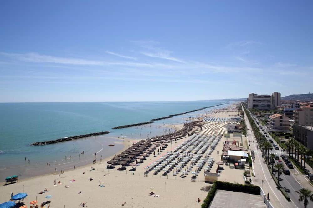 سي لايون هوتل