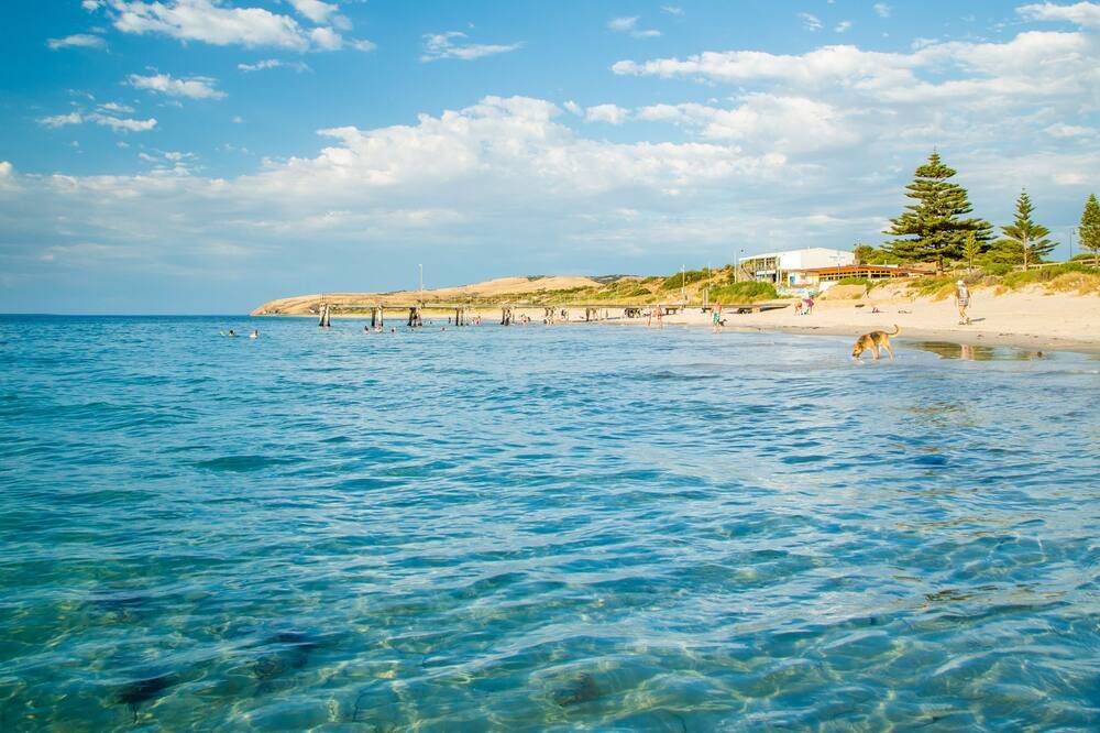 ليدي باي هوتل