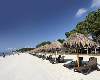 Vignale Resort - Ghisonaccia - Strand