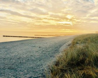 chalet Zingst - Zingst - Pláž