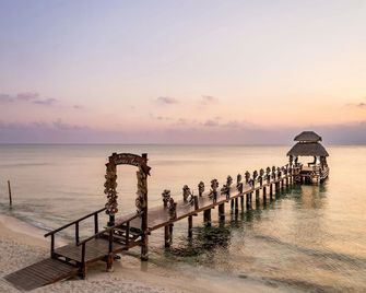 Secrets Aura Cozumel Adults Only - קוזומל - חוף