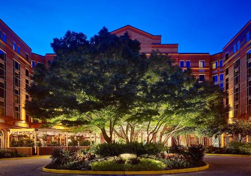 Escort girls Auburn Prostitutes Auburn