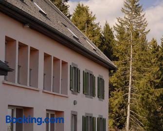 Les ô welches côté lac - Orbey - Building
