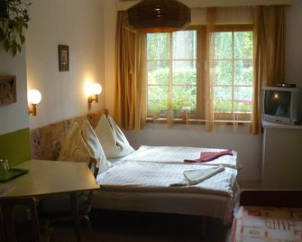 Penzion Masek - Cheb - Habitación