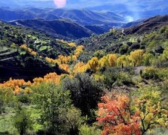 Buena Vista rural cottage in Alpujarras - Granada for 10 people. - Laroles - Außenansicht