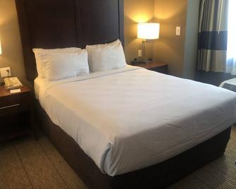 Comfort Inn and Suites - Aztec - Habitación