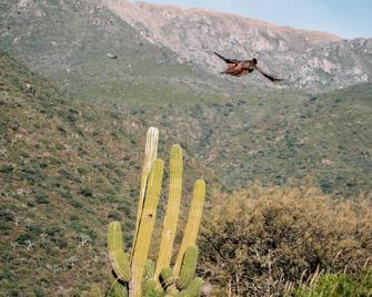 La Ceiba - Catamarca