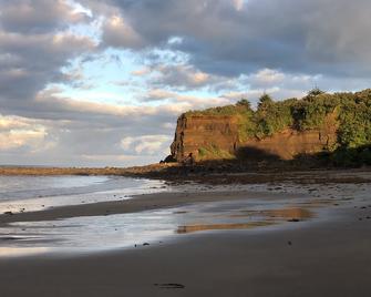 @Taradise-Opunake - eco-friendly Coastal hideaway - Opunake - Beach