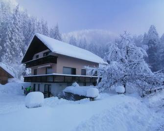 Apartments Mertelj - Kranjska Gora - Budynek