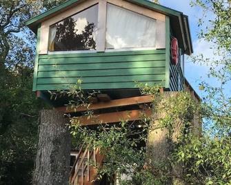 Tree house and shepherds hut - Ashburton - Building