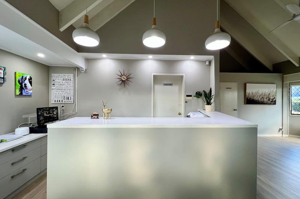 Airport Manor Inn - אוקלנד - דלפק קבלה