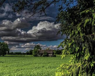 Quaint Farmhouse in Geesteren with Meadow View - Geesteren - Outdoors view