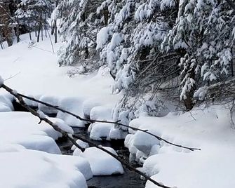 Cozy Log Cabin Rental in the White Mountains of New Hampshire - Lisbon