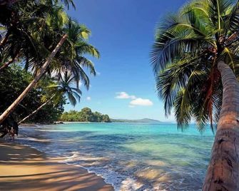 Lizard King Hotel & Suites - Puerto Viejo de Talamanca - Playa