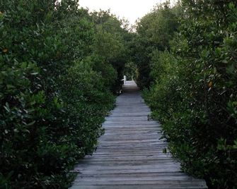Nature's Landing - A102 Budget Rates Downtown Unit - Cedar Key - Vista del exterior
