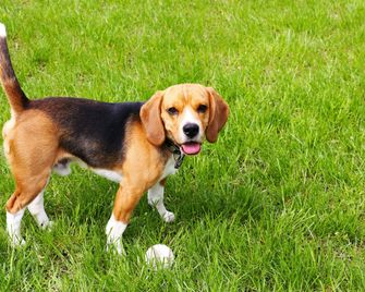 Weatherford Heritage Inn - Weatherford