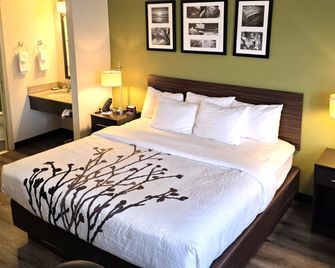 Austinburg Hotel by IHG - Austinburg - Habitación