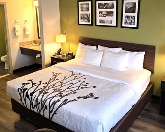 Austinburg Hotel by IHG - Austinburg - Habitación