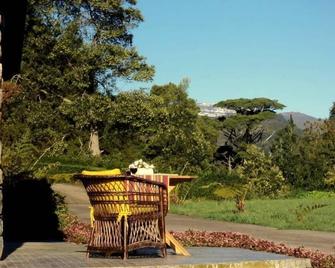 Little country cottage, quiet, peaceful, walk to golf, SLEEPS 3 - Santo Antonio da Serra - Uteplats