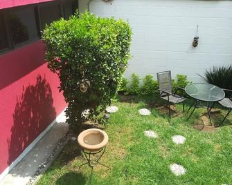 Colibrí B&B - Mexico City - Patio