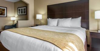 Comfort Suites Airport - Kenner - Chambre