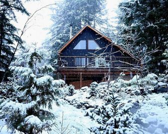 Romantic Off-Grid Cabin Stargaze & Unwind - Pemberton - Building
