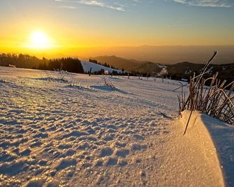 Fidelis-Bühl Muggenbrunn - Todtnau