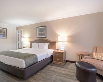 Quality Inn and Suites Lake Havasu City - Lake Havasu City - Bedroom