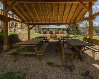 Rural house (full rental) Centro Río Lobos for 6 people - Hontoria del Pinar - Patio