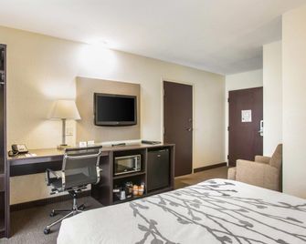 Quality Inn Kansas City International Airport - Kansas City - Bedroom