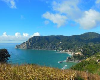 B&B Il Vigneto in the heart of the Cinque Terre - Riomaggiore - Strand