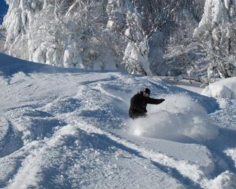 Highland House - Snowshoe