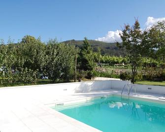 Charming house with swimming pool - Ponte de Lima - Pool