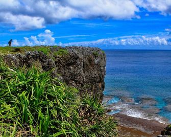 Ada Garden Hotel Okinawa - Kunigami - Vista del exterior