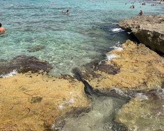 L'oasi Una Pineta Sul Mare - Custonaci - Spiaggia