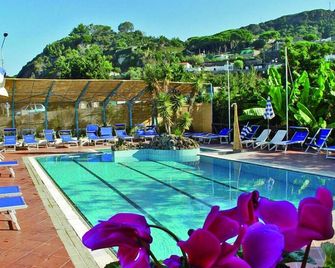 Hotel Villa Franca - Forio - Pool
