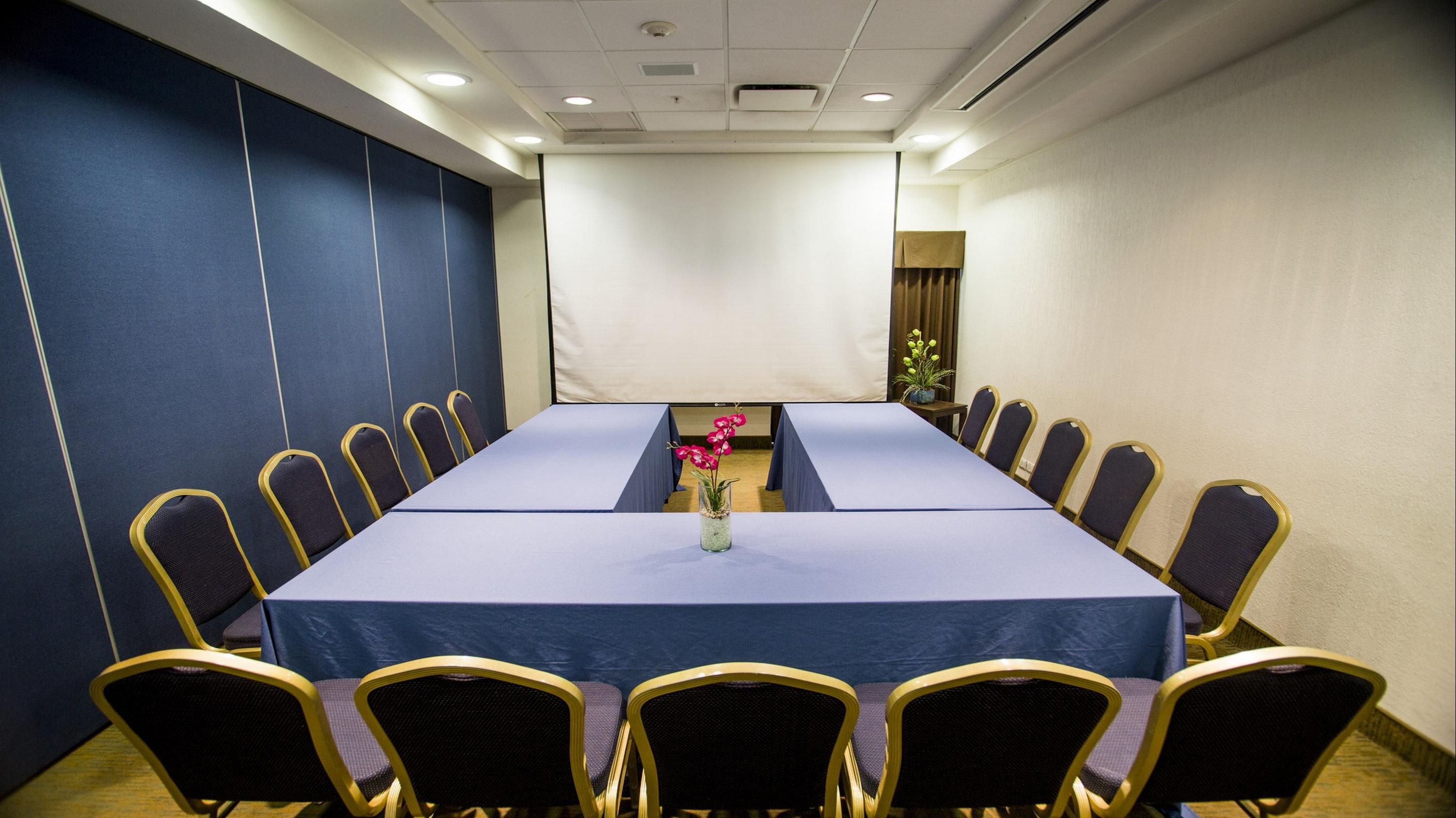 Holiday Inn Express Tuxtla Gutierrez La Marimba By IHG - Tuxtla Gutiérrez - Meeting room