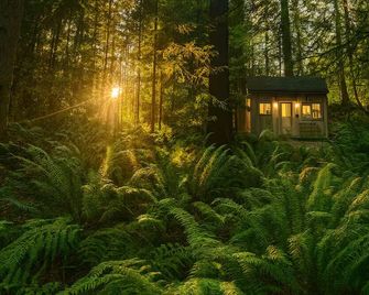 Escape to the Tiny Hideaway Cabin - Snohomish - Vista del exterior