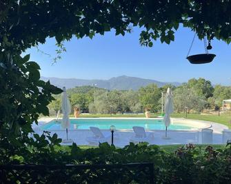 The Forest House B&B Artemide - Isernia - Piscina
