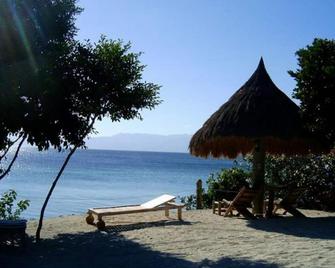 Sea Turtle House - Moalboal - Beach